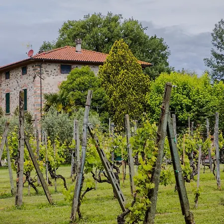 B&g Corte Menconi * Orentano